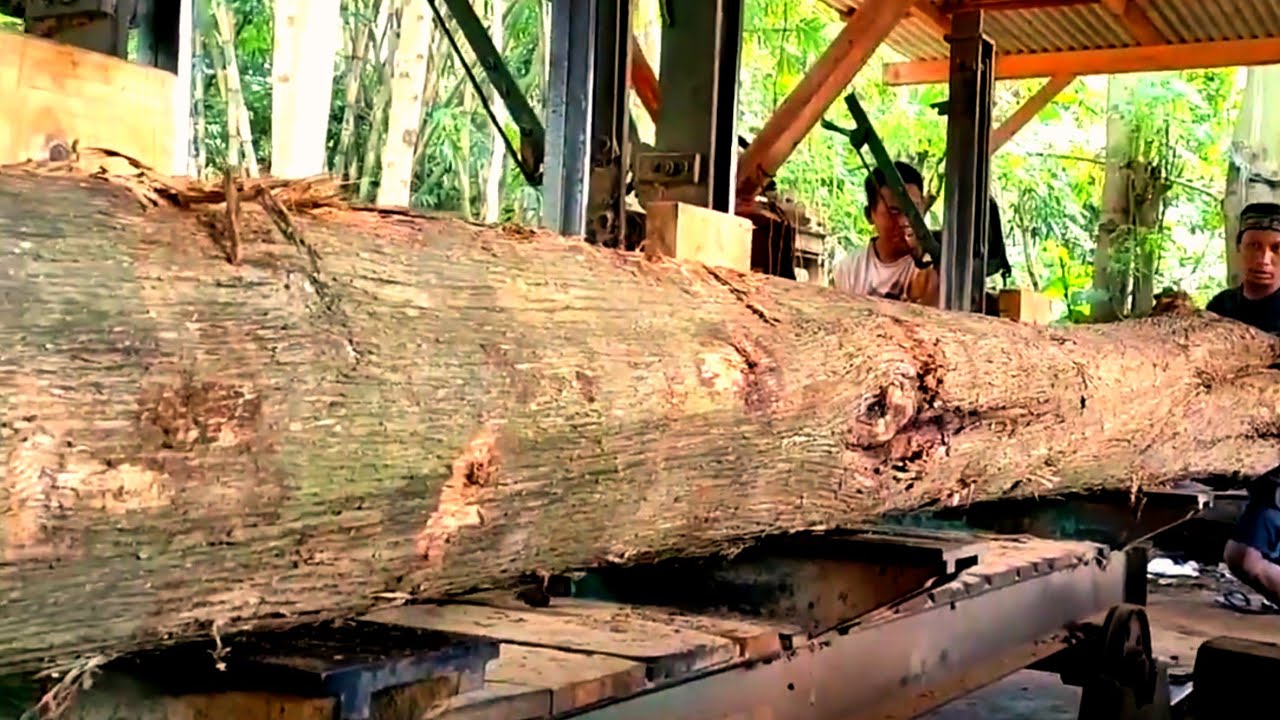 The teak wood processing process is long and Most expensive 