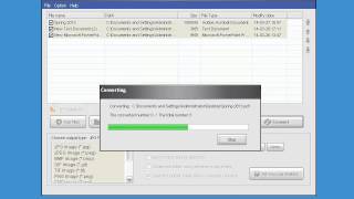 How it works: Okdo All to Image Converter Professional screenshot 4