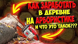 До 100 000 в месяц!!! Арбористика в деревне как выгодная идея для бизнеса со стабильным спросом