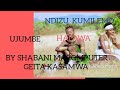NDIZU KUMILEMO UJUMBE HALALWA BY SHABANI KASAMWA GEITA 0789244056 Audio2026 