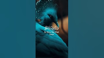 هذا خلق الله ... القارئ إسلام صبحي