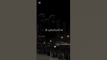 سورة آل عمران | ماهر المعيقلي #اكسبلور #foryou