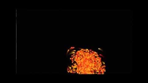 interactive drawing wall