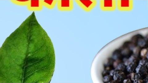 17 दिसंबर मंगलवार द्वितीया तिथि के दिन 5 काली मिर्च वाला उपाय होगी हर मनोकामना||Pardeep Ji Mishra