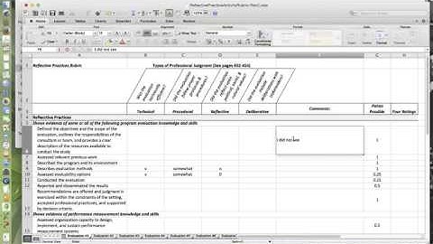 Program Evaluation: Reflective Practice Exercise