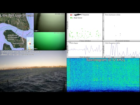SEICHE WATER TECHNOLOGY GROUP LTD Live Stream