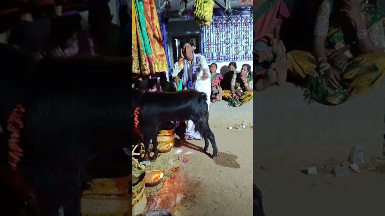 అకంబొన ,రమణ   7032970610