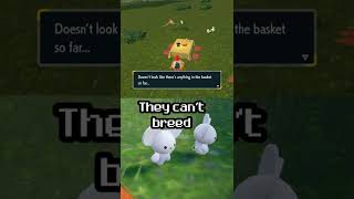 tandemaus weirdness #pokemonscarletandviolet #pokemon #pokemonsv