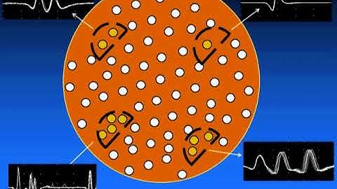 SFEMG - Intro Fiber Density  (Don Sanders)