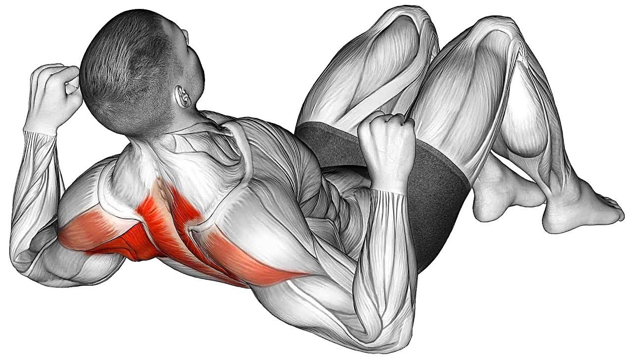 5 Best No Equipment Back Exercises YouTube