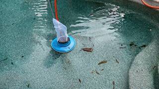 U.S. Pool Supply Leaf Terminator Review | Best Pool Leaf Vacuum for Fast Cleanup?