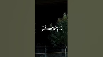 القارئ عمر بن ضياء الدين