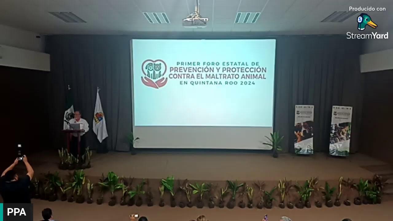 Primer foro estatal de prevención y protección contra el maltrato ...