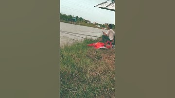 Nhóm mất 5 ca trắm đen  rồi em đang đánh ủ thính thuốc bắc anh em biết thì chỉ em với #shorts