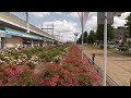 【4K】Yono rose garden