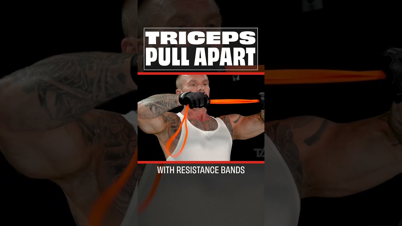 Joe rogan resistance bands sale