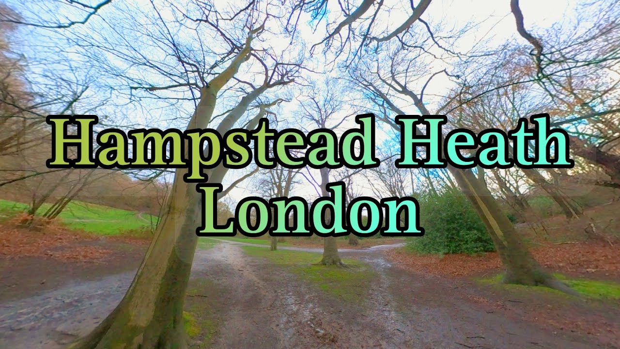 Hampstead Heath London Walk #360video #walkingtour #ambient #showers