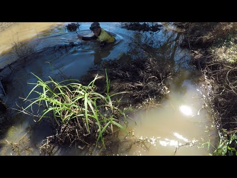 NESSE LUGAR TEM MUITO PEIXE! PESCA DE PENEIRÃO NESSE LUGAR TEM MUITO PEIXE! PESCA DE PENEIRÃO