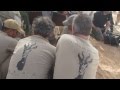 Liberación de antílopes mohor en Safia