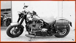 For H-D® SOFTAIL® SLIM® & SLIM S® BLACKLINE UNTILL 2017 - Saddlebag installation guide - ENDS CUOIO