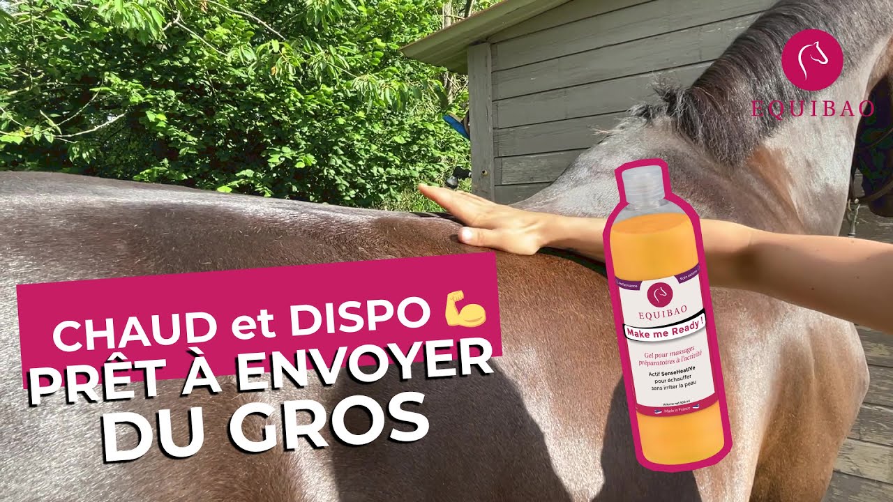 Gel De Massage Chauffant Leovet Thermo-Massage Pour Chevaux - 500 Ml - Fabriqué En Allemagne