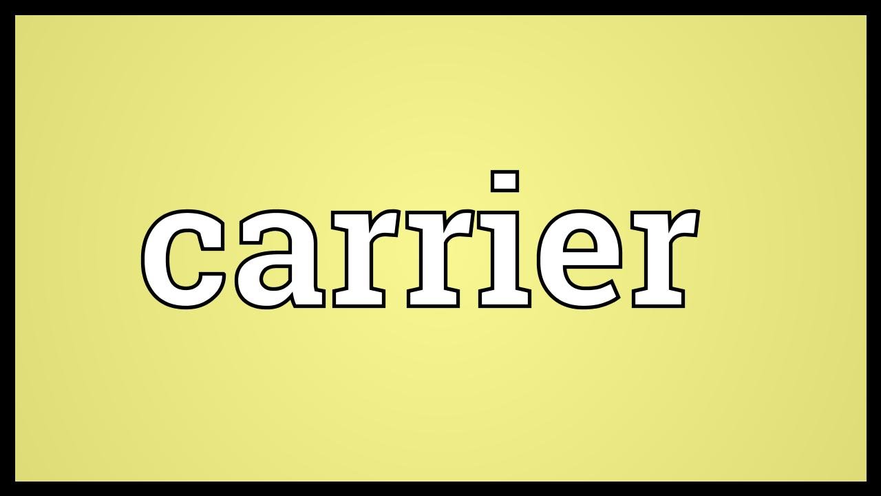 travel carrier meaning