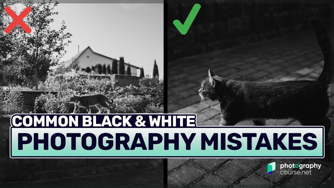 5 Common Black and White Photography Mistakes and How to Avoid Them
