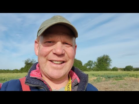 Thoughts on crop rotation - YouTube