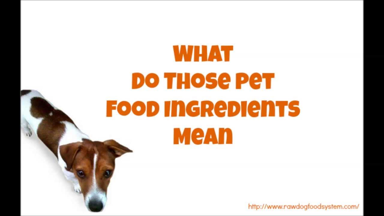 What Do Those Pet Food Ingredients Mean - YouTube