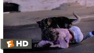 کلیپ فیلم After Midnight (5/10) - حمله سگ وحشی (1989) HD