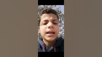 سورة التين