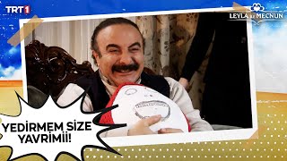 Erdal Bakkal, Yavru Yumurtasını Aç Ev Ahalisinden Korumaya Çalışıyor. Leyla Ile Mecnun 81. Bölüm