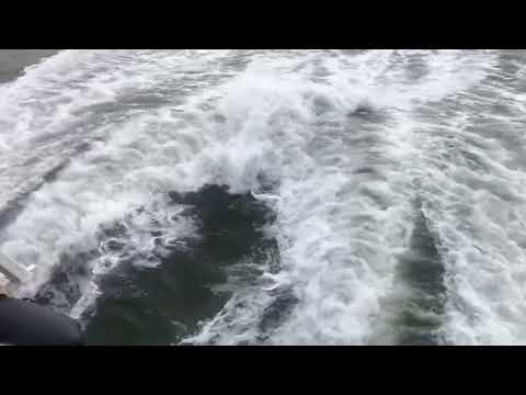 4000hp Ferry Breskens to Vlissingen