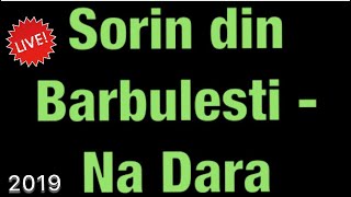 Video thumbnail of "Sorin din Barbulesti - Na Dara 2019"