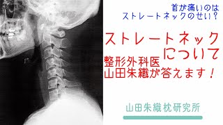 ストレートネックと首の痛みとの関係および枕による症状緩和について｜整形外科医山田朱織