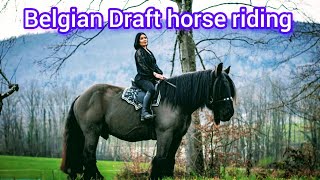 Belgian Draft horse Riding | Girls horse riding 🐎🏇