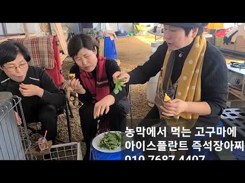 김선생 가족  아이스플란트 농장 견학 삼겹살 파티 아이스플란트 김밥 군고구마 <strong>난로</strong> 앞에서 오손도손