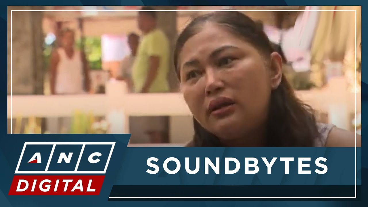 WATCH: Wife of slain Negros Oriental Governor Degamo seeks Senate probe, justice | ANC