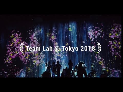 東京 teamLab Borderless 唔好去