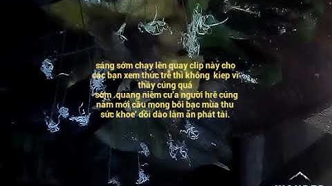 #khách phạm tv_ ghé thằm tết hrê ba tơ quảng ngãi