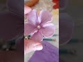 ورود عجينة السكر لتزيين الحلويات أخدميهم وحدك في دار و بسهولة ووفري دراهمك في جيبك