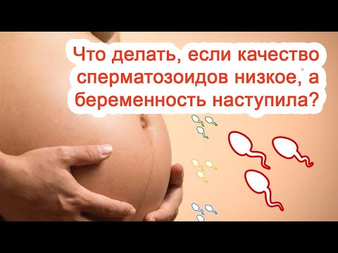 Что делать, если качество сперматозоидов низкое, а беременность наступила? / Доктор Черепанов