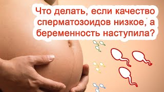 Что делать, если качество сперматозоидов низкое, а беременность наступила? / Доктор Черепанов