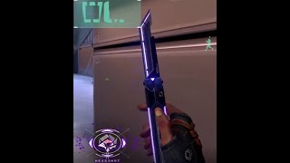 RGXbutterflyknife.exe