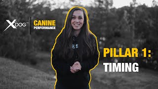 Xdog & canine performance are teaming up for the next 5 weeks to bring
you a new series on pillars of dog training. this week we have pillar
1: timing ...