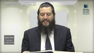 הדף היומי מסכת בכורות דף ל