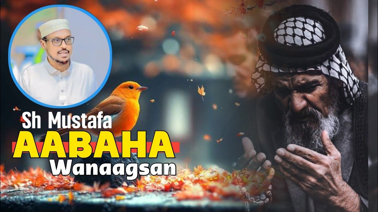 Aabaha wanaagsan || SH Mustaf Hajji
