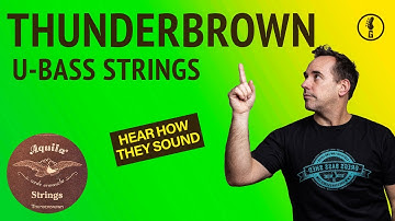 Thunderbrown String Review: These Are Great U-Bass Strings (No.251)