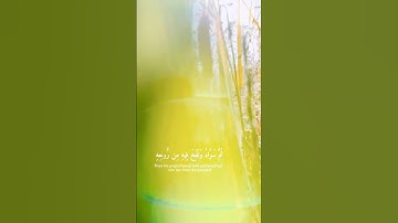 الَّذي أَحسَنَ كُلَّ شَيءٍ خَلَقَهُ - القارئ اسلام صبحي