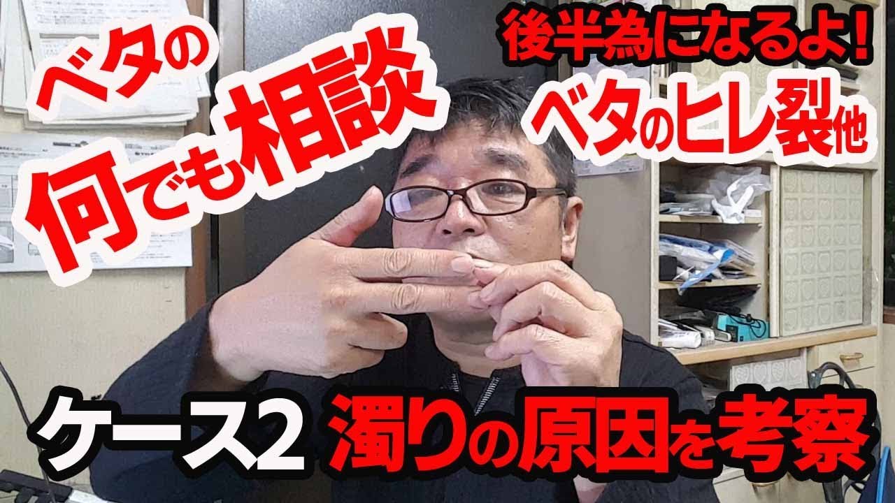 ベタの何でも相談2 濁りの原因他 Youtube